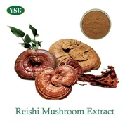 Prášok extraktu Ganoderma Lucidum