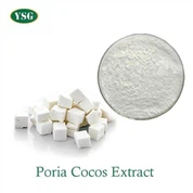 Poria kokosový prášok