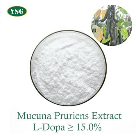 Extrakt z Mucuna Pruriens v prášku