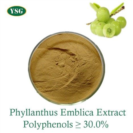 extrakt z ovocia phyllanthus emblica